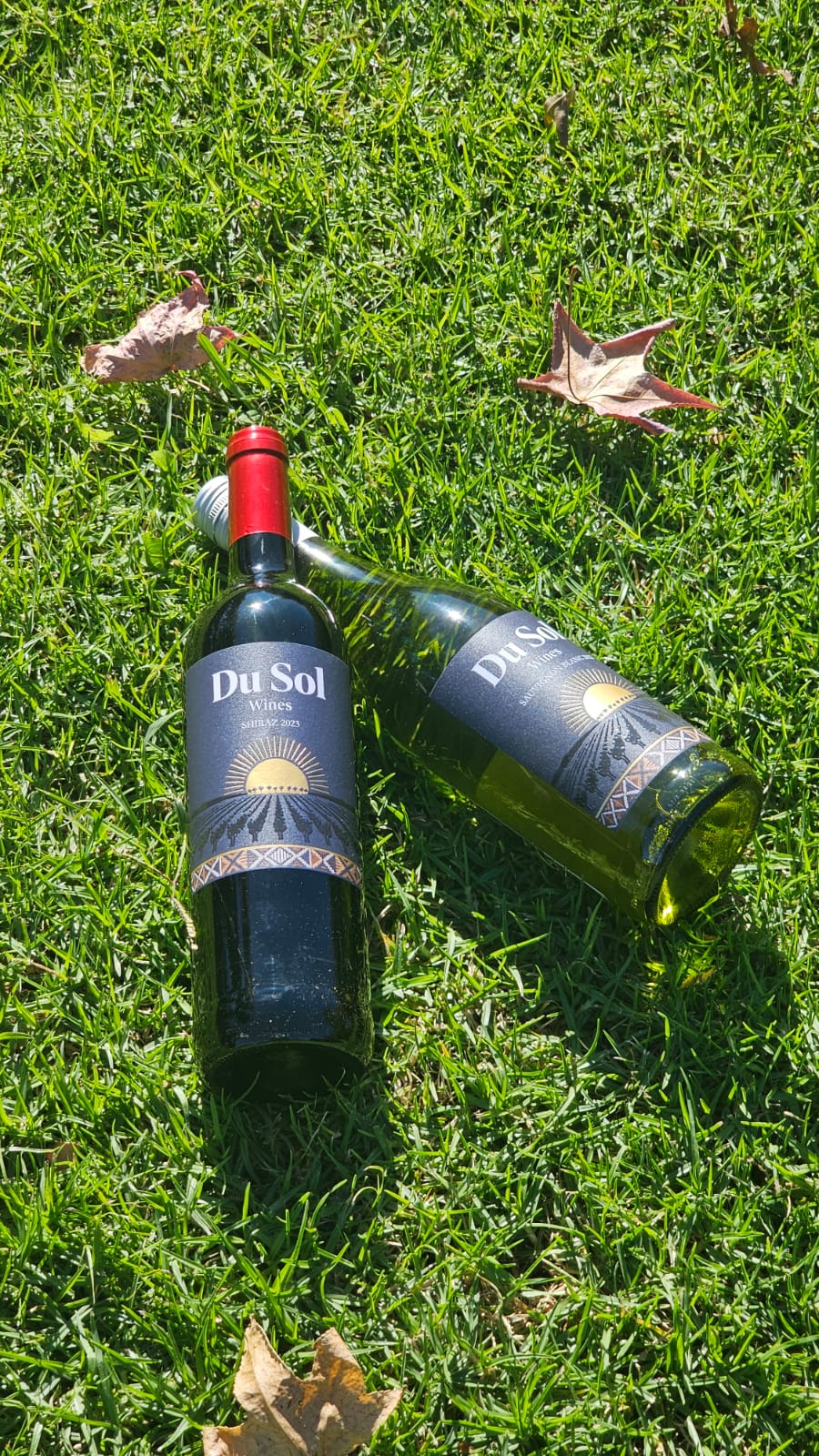 Bottles on grass with autumn leaves