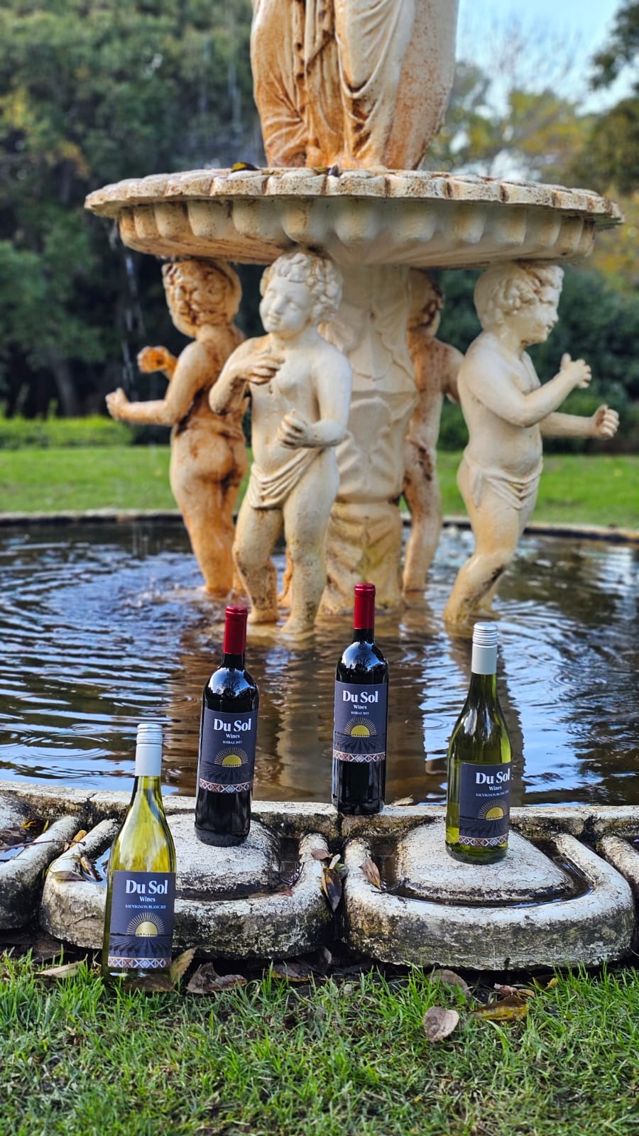 Du Sol wines by the fountain in the Vineyard Hotel gardens
