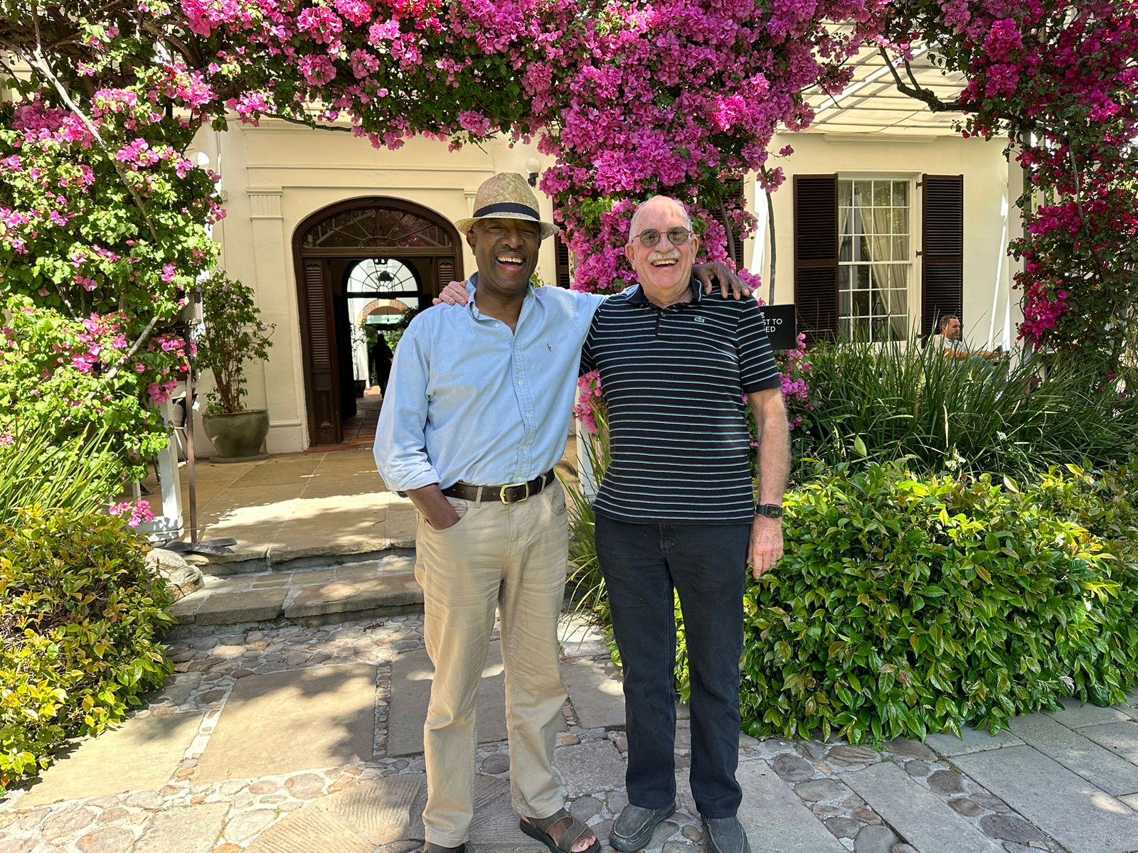 In the Cape winelands
