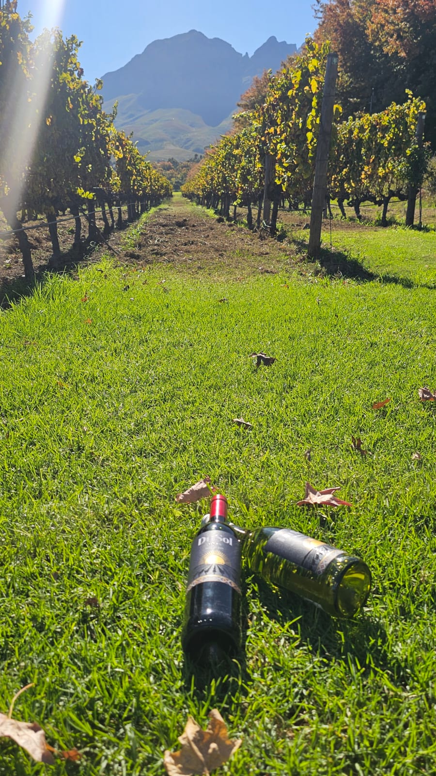 A bottle of Du Sol Wines resting in the vineyard grass, the mountains beyond